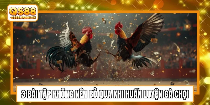 3 bài tập không nên bỏ qua khi huấn luyện gà chọi