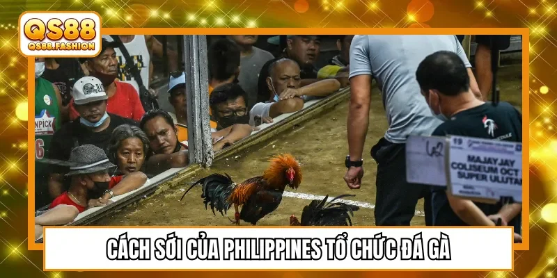Cách sới của Philippines tổ chức đá gà
