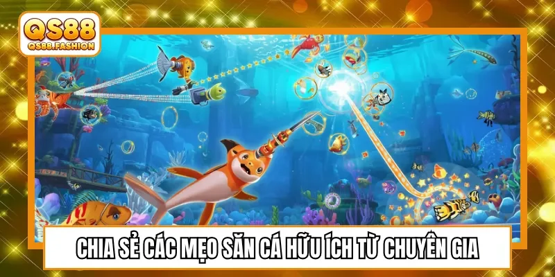 Chia sẻ các mẹo săn cá hữu ích từ chuyên gia