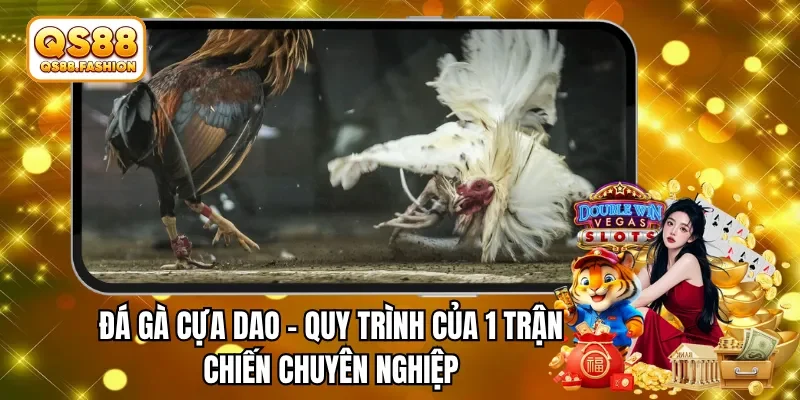 đá gà cựa dao