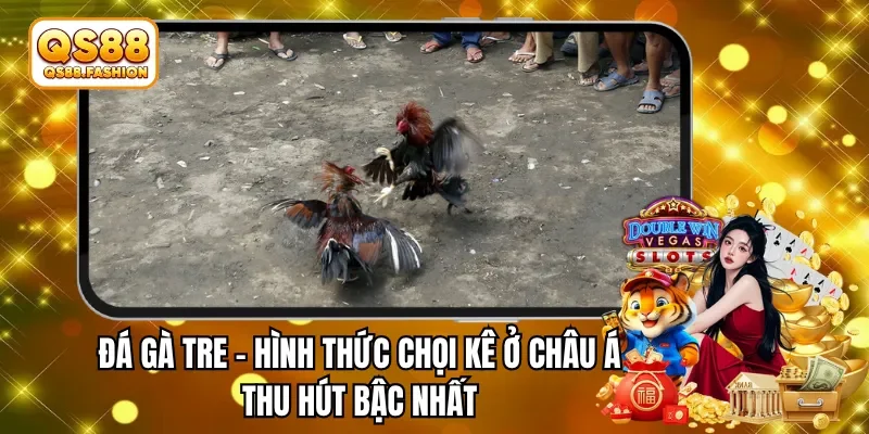 đá gà tre