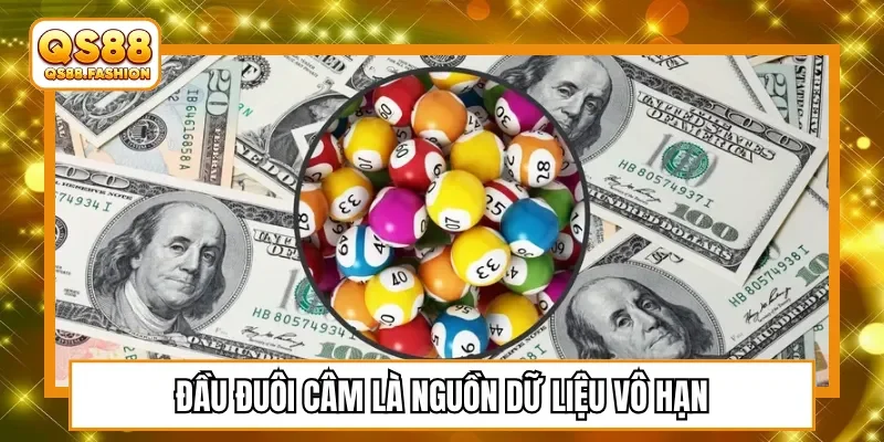 Đầu đuôi câm là nguồn dữ liệu vô hạn