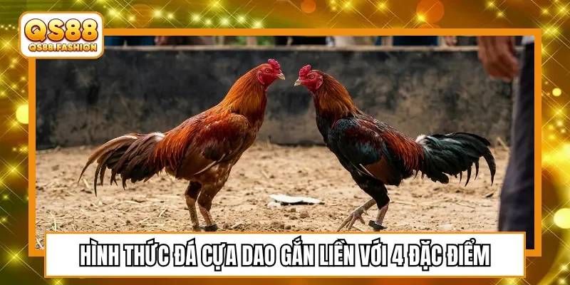 Hình thức đá cựa dao gắn liền với 4 đặc điểm