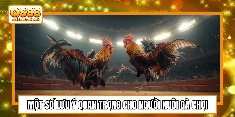 Một số lưu ý quan trọng cho người nuôi gà chọi