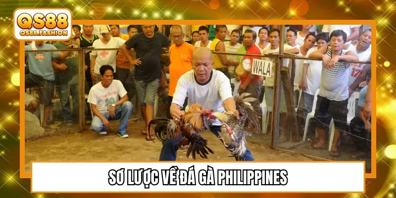 Sơ lược về đá gà Philippines